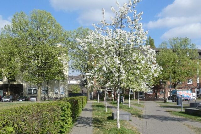 Der neu gestaltete Marktplatz