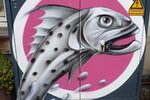 Fisch Graffiti auf Stromkasten