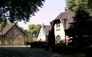 Bergmannssiedlung Neumühl - 3 Häuser im Sonnenschein, eine Tanne