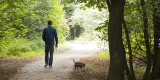 Spaziergänger mit Hund