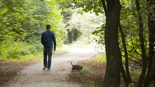 Spaziergänger mit Hund