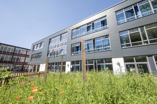 Steinbart Gymnasium Duisburg von außen, im Vordergrund eine Blumenwiese