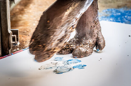 Hier sitzt jeder Fußabdruck.