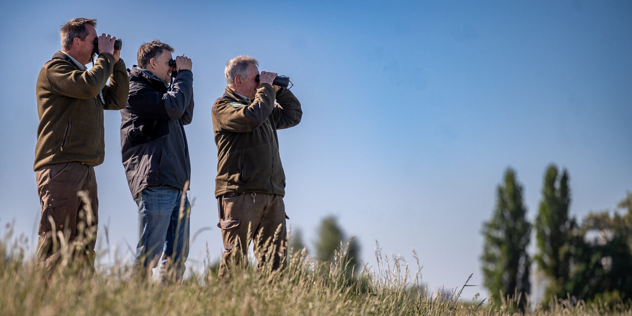 Alle Blicke sind auf die Seeadler gerichtet. Nahezu täglich beobachten Ornithologen von nah und fern die Aufzucht.