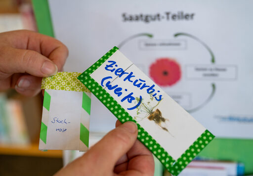 Tausche Zierkürbis gegen Stockrose - das ist das Prinzip des Samentauschs.