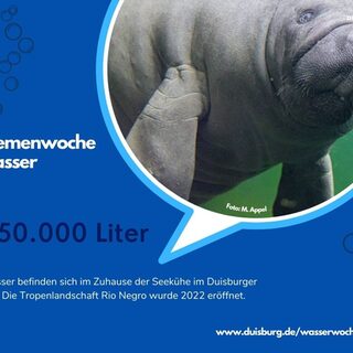 650.000 Liter im Becken der Seekühe im Duisburger Zoo