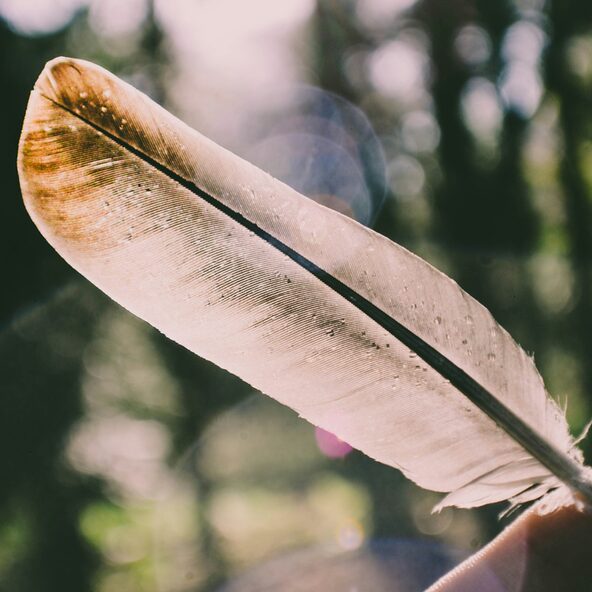 Feder in der Hand