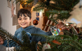 Tannenbaum im Rathausfoyer