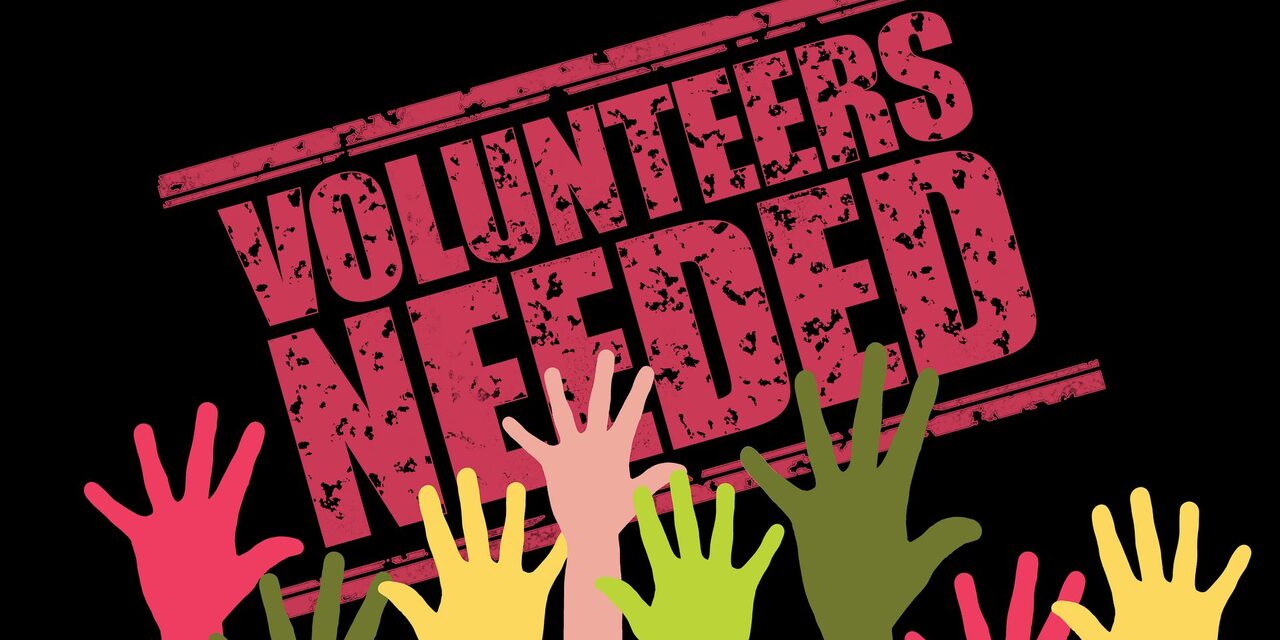 Viele aufzeigende, bunte Hände