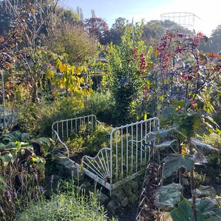 Ein leeres Metallbett im Schrebergarten bewachsen