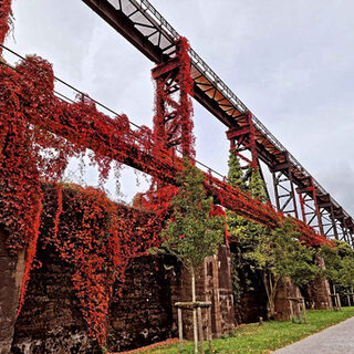 Landschaftspark mit herbstlichem Laub