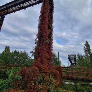 Herbst im Landschaftspark