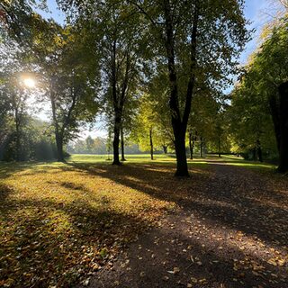 Park im Herbst