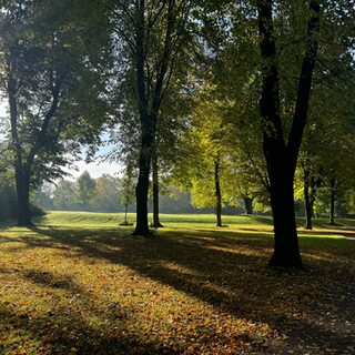 Park im Herbst