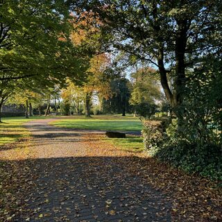 Park im Herbst