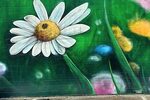 Graffiti Innenstadt