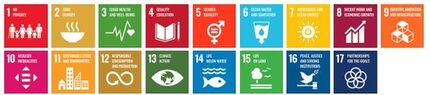 17 Nachhaltigkeitsziele