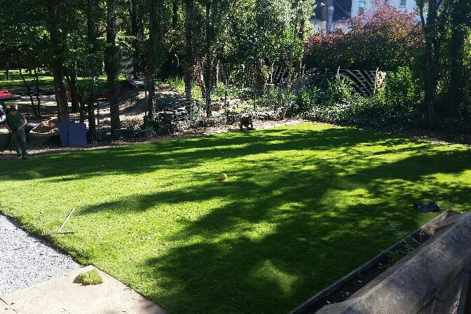 Eine schön gestaltete Gartenfläche mit Rasen.