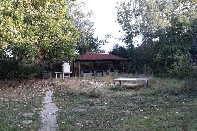 Der Schulgartenbereich vor dem Social Day