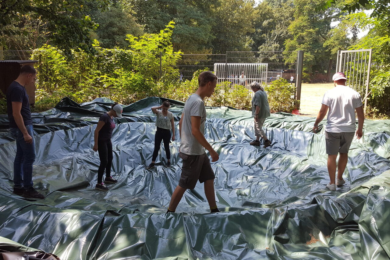 Eine Gruppe verlegt eine Teichfolie