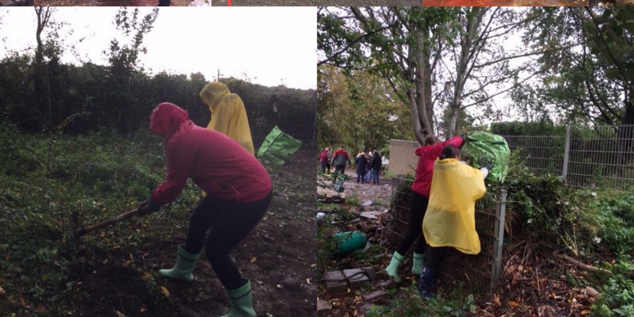 Mitarbeiter der Agentur für Arbeit Duisburg