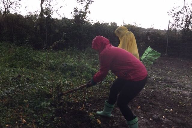 Mitarbeiter arbeiten bei Regen im Schulgarten