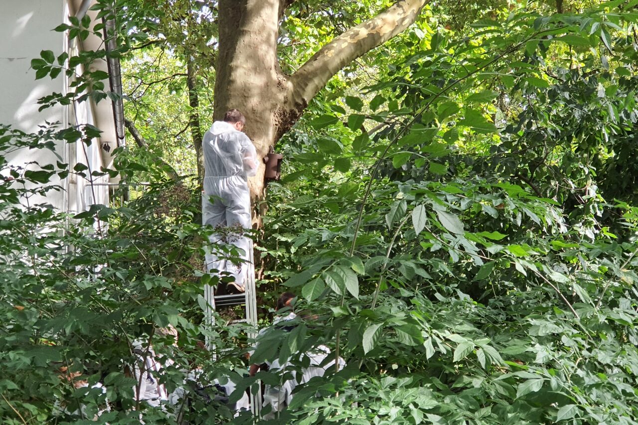 Mitarbeiterinnen und Mitarbeiter von Shimadzu und Kants Garten