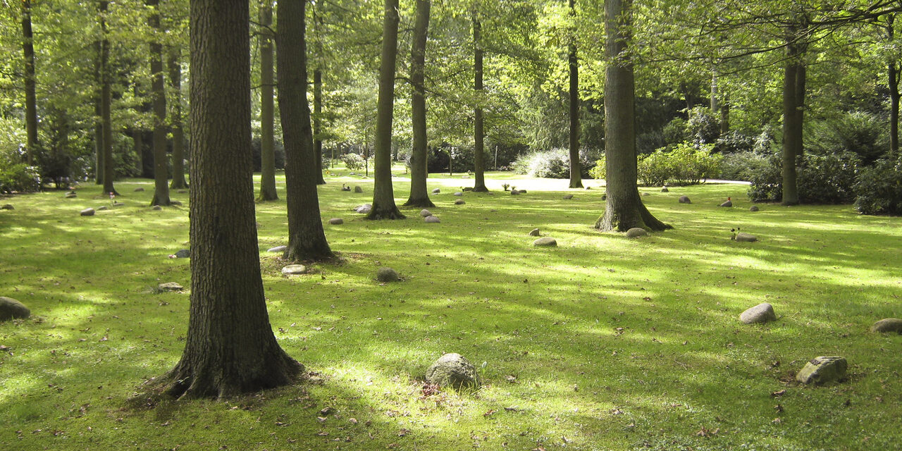 Bäume auf dem Friedhof