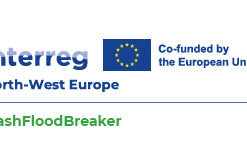 Logo Projekt Flash Flood Breaker (FFB)