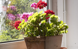 Bilder Offenes Atelier