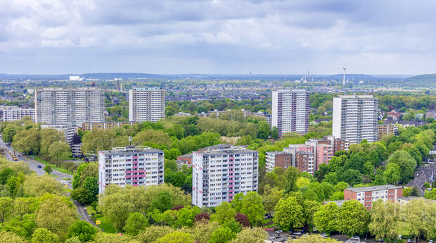Einer der Weißen Riesen