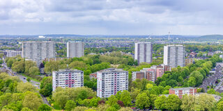 Einer der Weißen Riesen