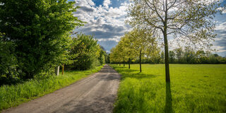 Rheinaue Friemersheim