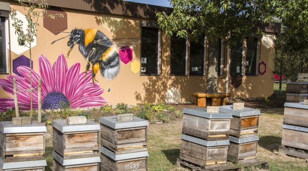 Rumel-Kaldenhausen: Bienenmuseum an der Schullallee