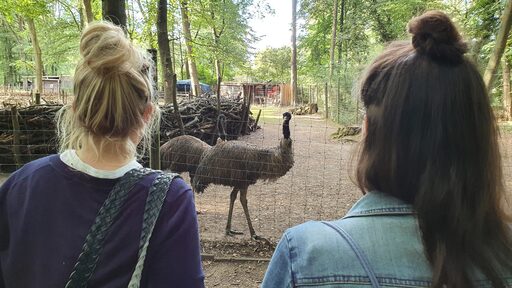Zwei Frauen stehen vor einem Gehege und sehen sich einen Emu an