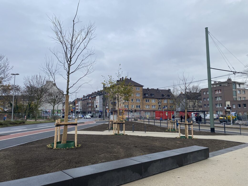 Bonifatiusplatz mit neuen Baumpflanzungen