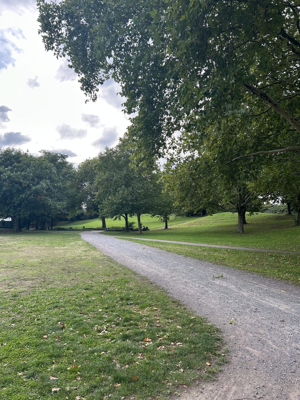 Grüner Ring Mitte vor Baumaßnahme