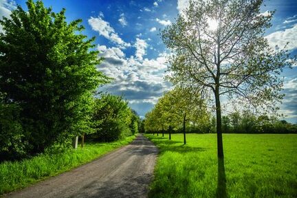 Friemersheimer Rheinaue