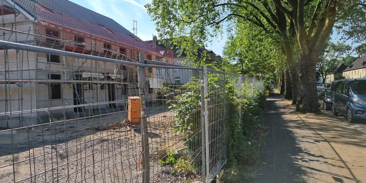 Artenschutz im Planverfahren