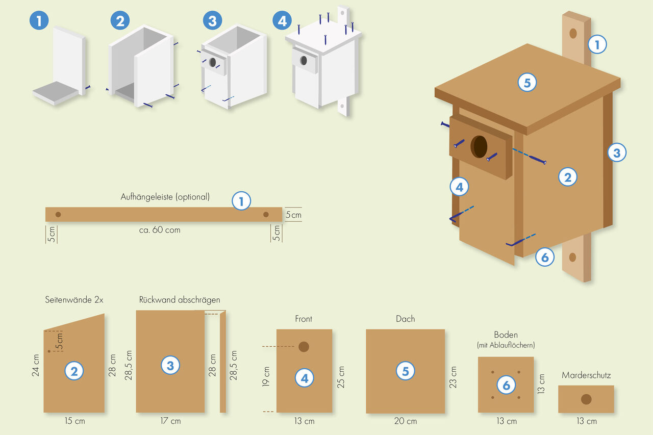 Bauanleitung Nistkasten Blaumeisen Höhlenbrüter