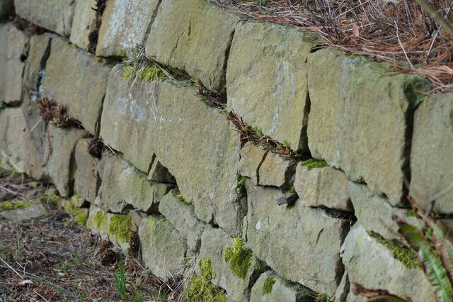 Trockenmauer
