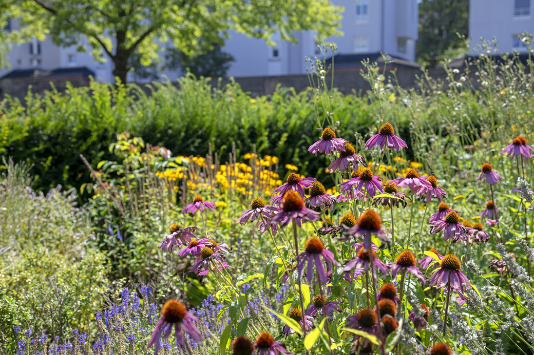 Staudengarten