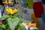 Umweltmarkt - Duisburg 20.06.2026