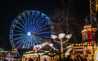 Giant Ferris Wheel