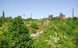 Uitgestrekte groene ruimtes in het Landschaftspark