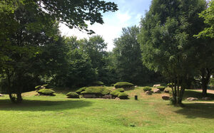 Groene ruimtes in het Revierpark Mattlerbusch
