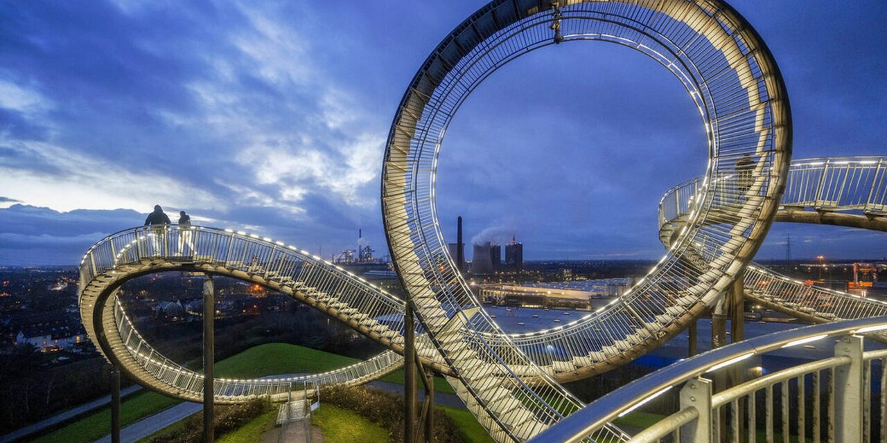 Tiger & Turtle