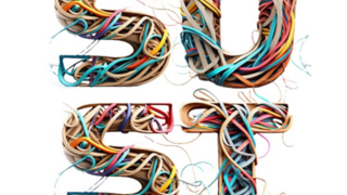 Wirtschaftsinformatik und Sustainable Supply Chain Management