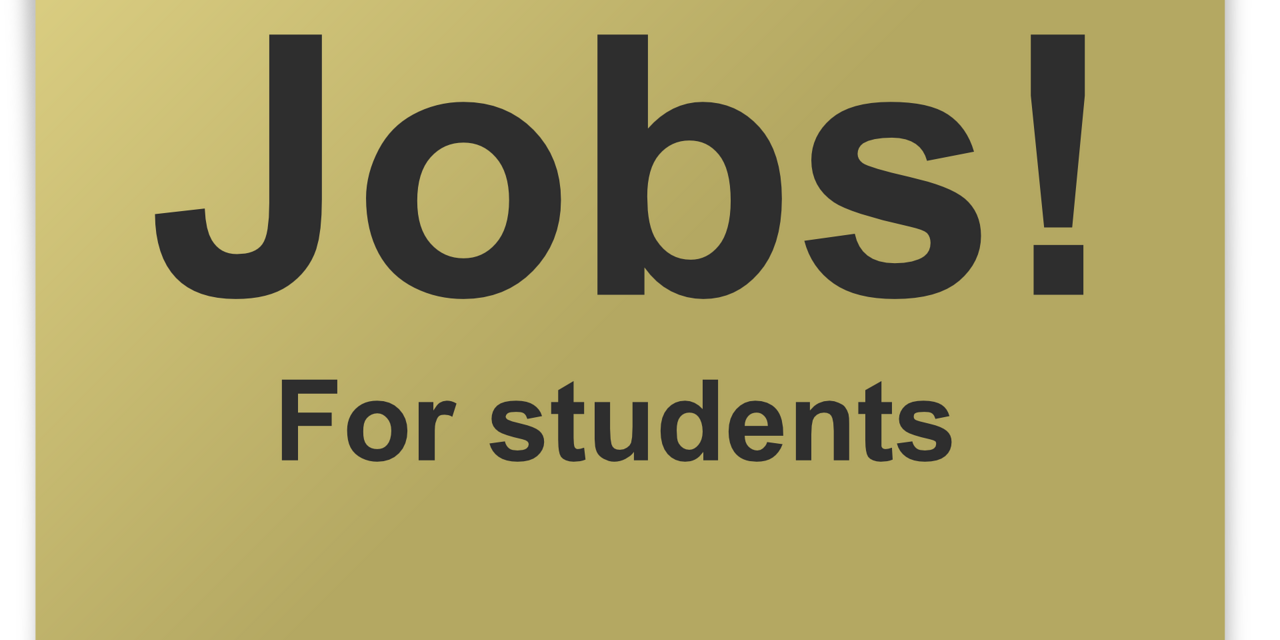 Stellenangebote für Studierende