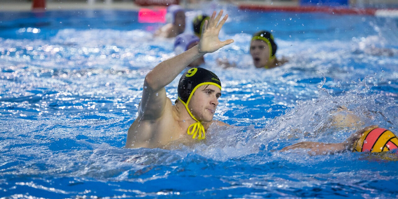 Wasserballer in Aktion